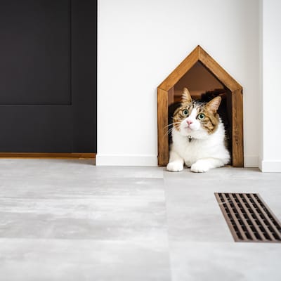 相談会のようす